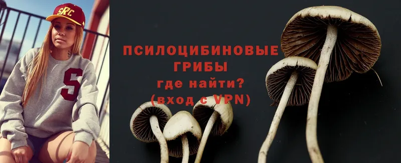 Псилоцибиновые грибы Psilocybe  Алушта 